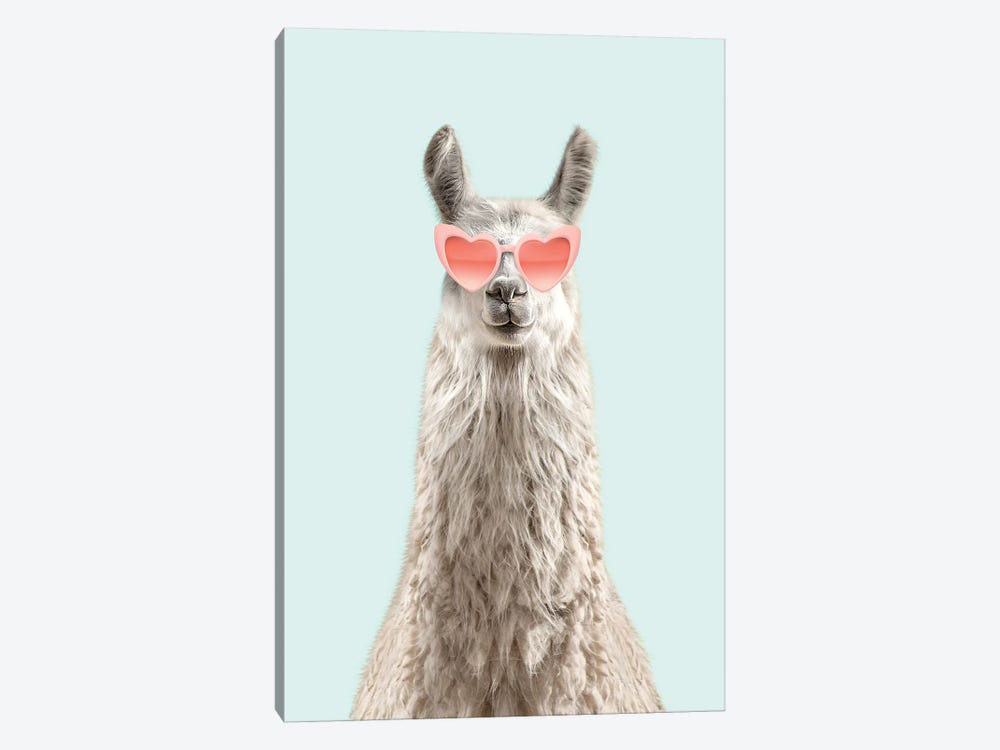 Llama With Sunglasses by Tiny Treasure Prints 1-piece Canvas Print