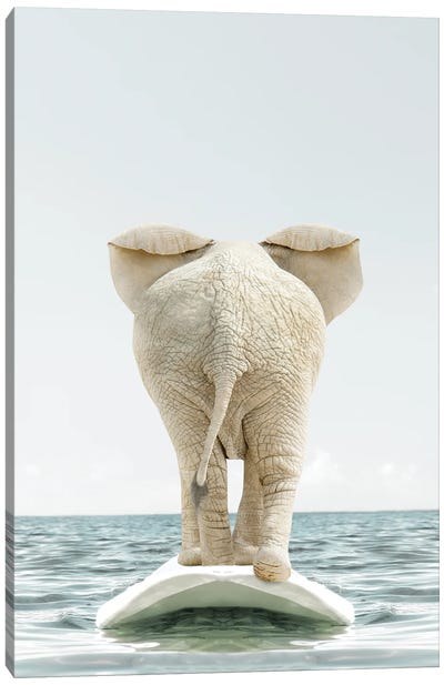 Elephant With Surfboard Canvas Art Print - Surfing Art