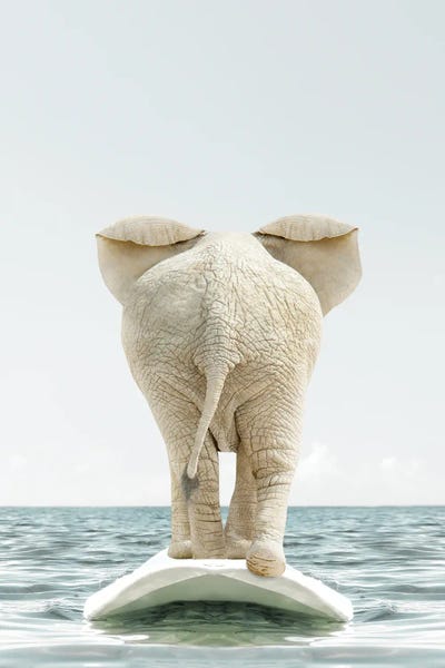 Kids Sports Art: Elephant With Surfboard by Tiny Treasure Prints