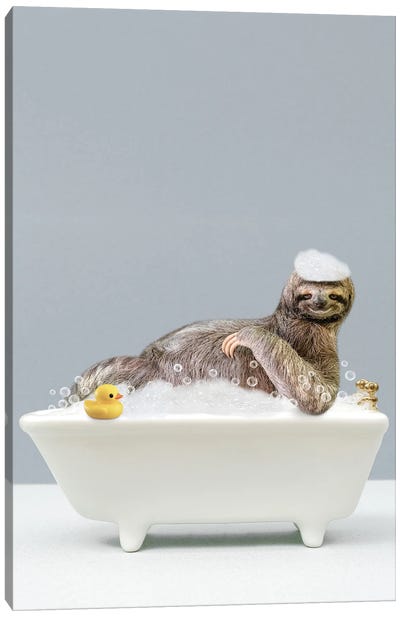 Sloth In A Bathtub Canvas Art Print - Sloth Art