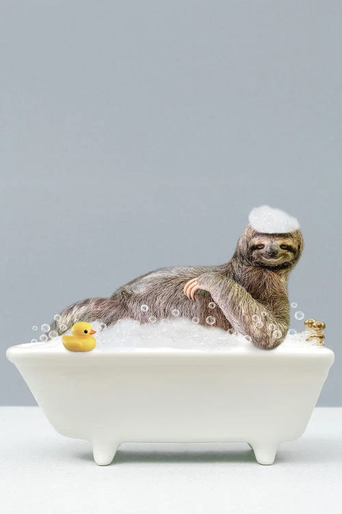 Sloth In A Bathtub