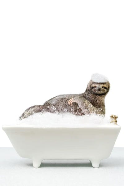 Sloth In A Bathtub II by Tiny Treasure Prints canvas print