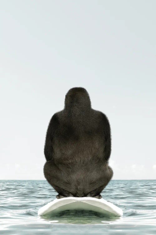 Gorilla With Surfboard