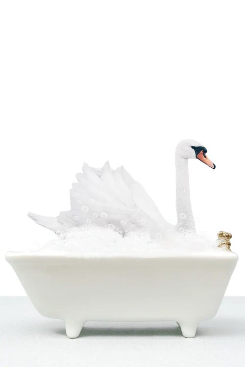 Swan In Bathtub