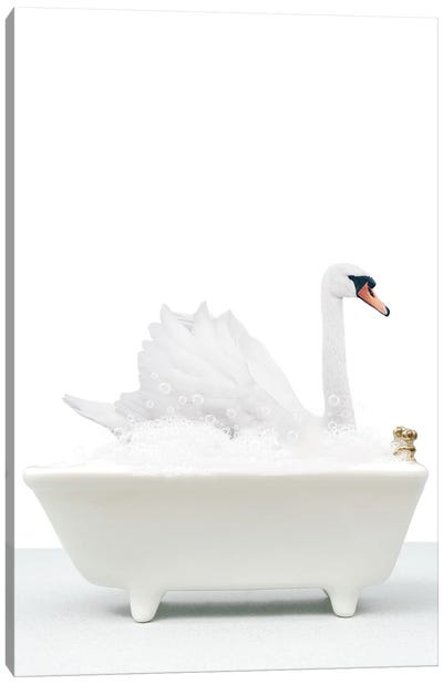 Swan In Bathtub Canvas Art Print - Swan Art