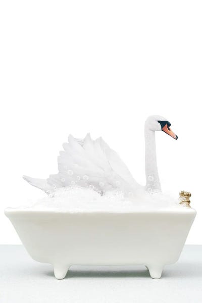 Bathroom Break: Swan In Bathtub by Tiny Treasure Prints