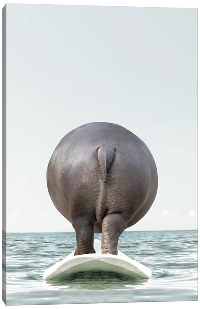 Hippo With Surfboard Canvas Art Print - Hippopotamus Art