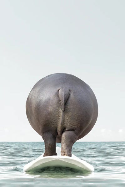 Hippopotamuses: Hippo With Surfboard by Tiny Treasure Prints