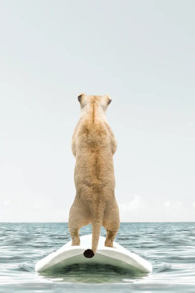 Lion With Surfboard by Tiny Treasure Prints canvas print