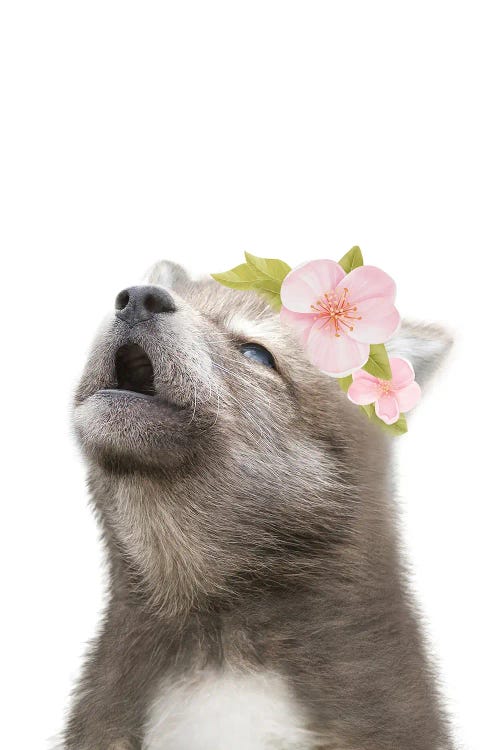 Wolf With Flower Crown II