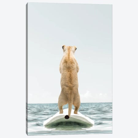 Lion With Surfboard Canvas Print #TTP20} by Tiny Treasure Prints Canvas Art Print