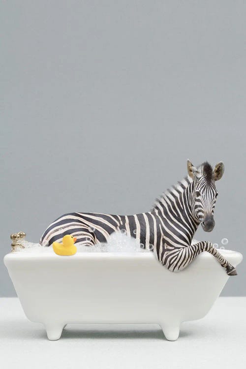 Zebra In A Bathtub