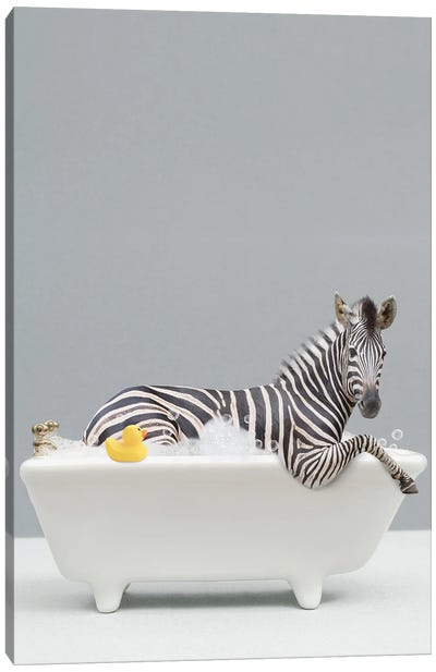 Zebra In A Bathtub Canvas Art Print - Tiny Treasure Prints