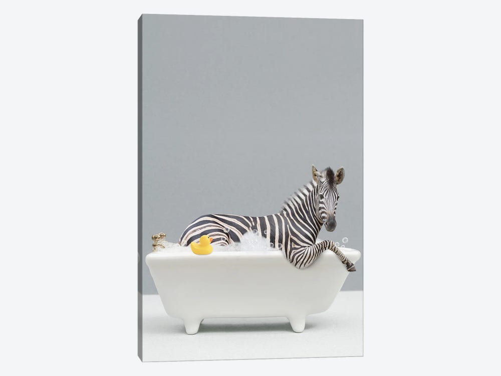 Zebra In A Bathtub by Tiny Treasure Prints 1-piece Canvas Artwork