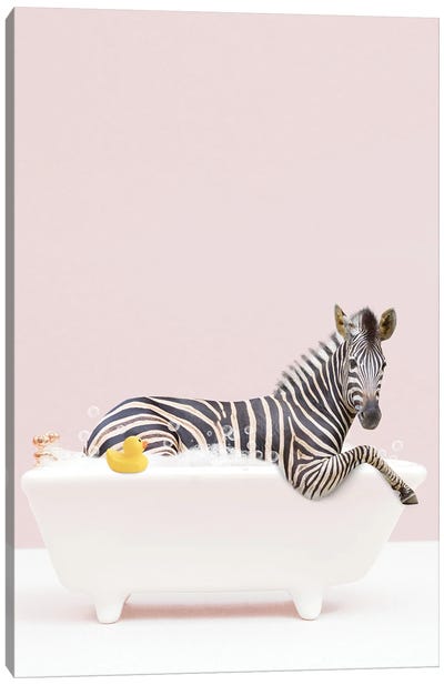 Zebra In A Tub Canvas Art Print - Tiny Treasure Prints