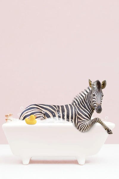 Zebras: Zebra In A Tub by Tiny Treasure Prints
