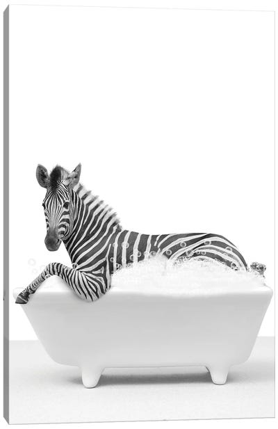 Zebra In A Tub II Canvas Art Print - Tiny Treasure Prints