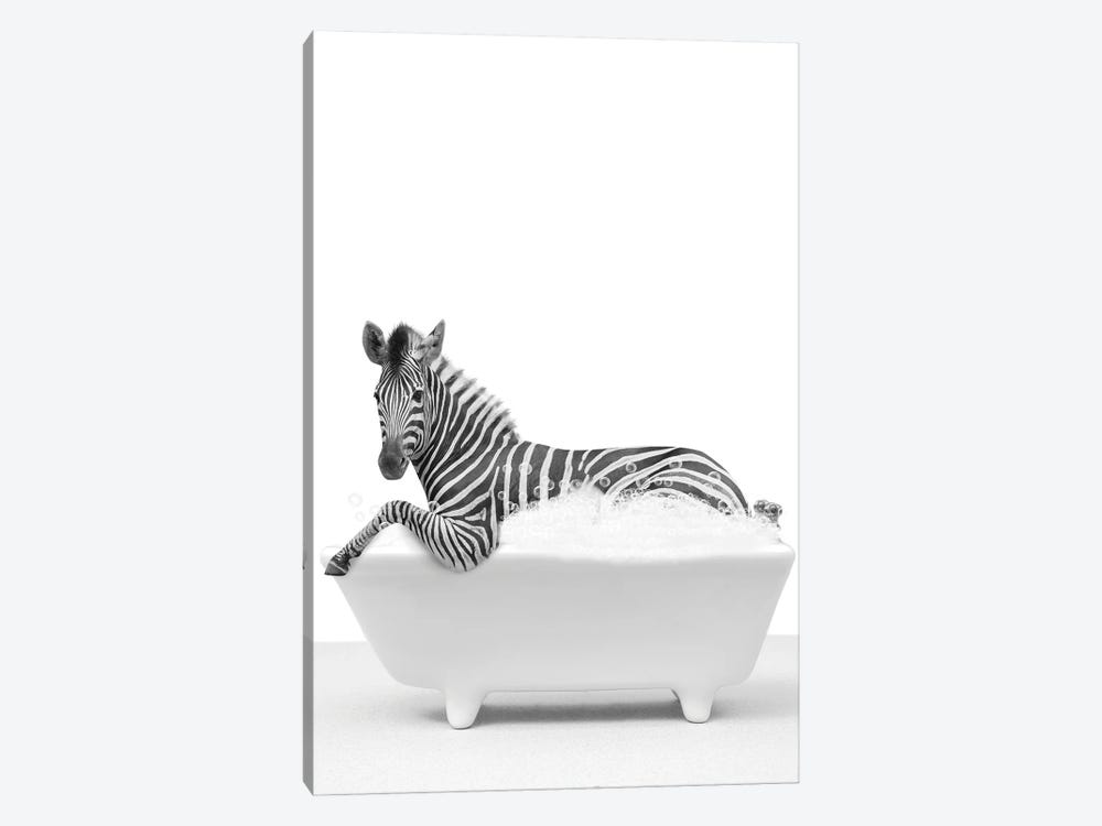 Zebra In A Tub II by Tiny Treasure Prints 1-piece Canvas Art