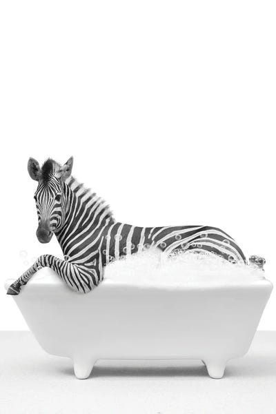 Zebras: Zebra In A Tub II by Tiny Treasure Prints