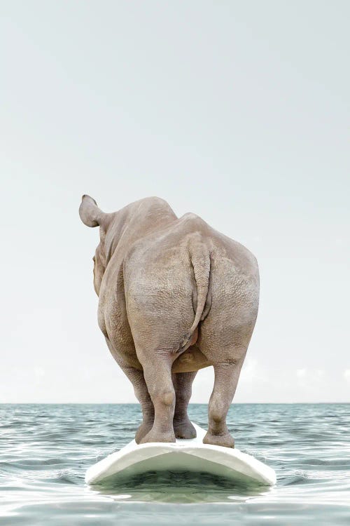 Rhino With Surfboard