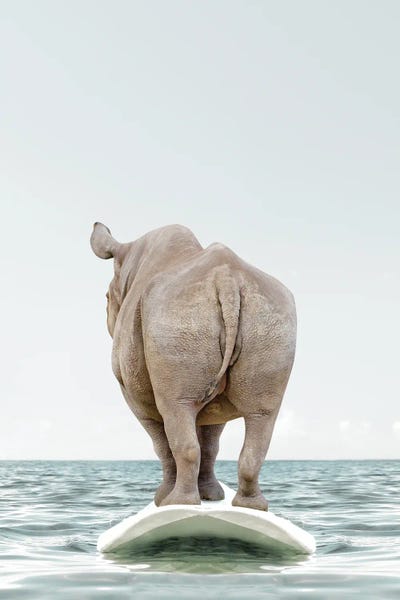 Kids Sports Art: Rhino With Surfboard by Tiny Treasure Prints