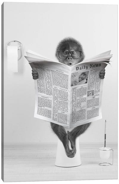 Monkey On The Toilet Reading Newspaper Canvas Art Print - Tiny Treasure Prints