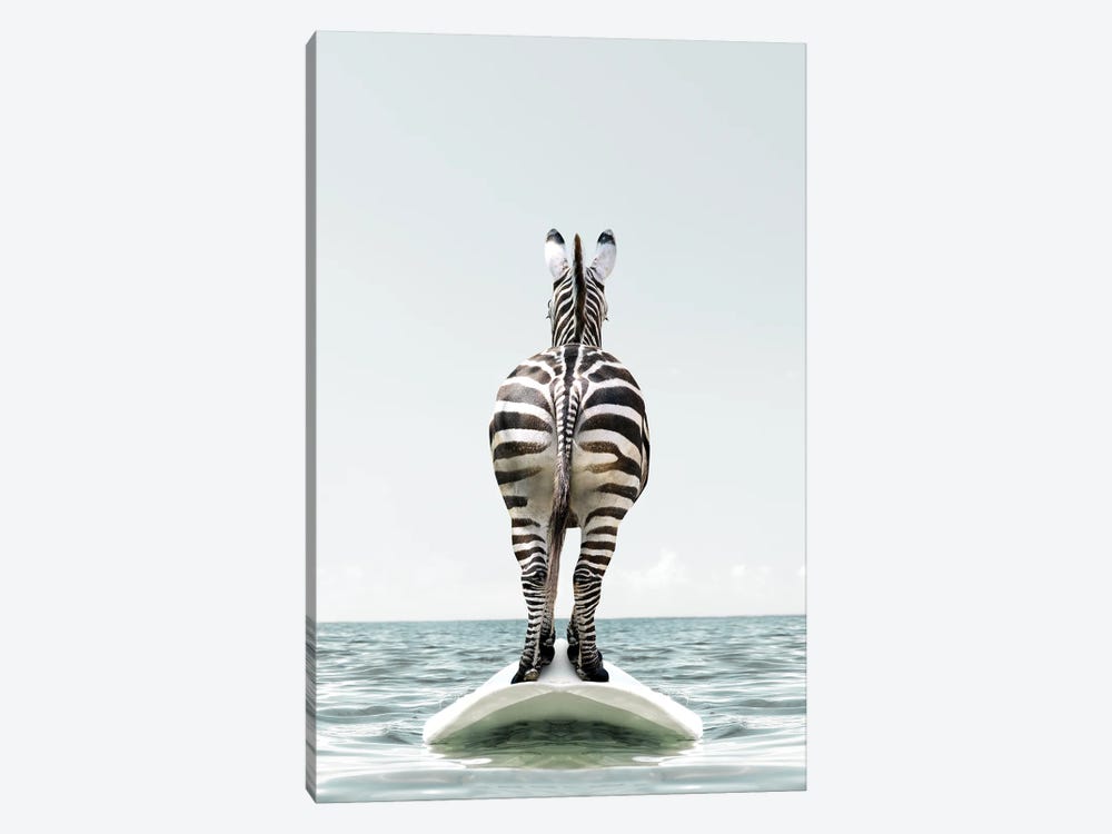 Zebra With Surfboard by Tiny Treasure Prints 1-piece Canvas Art Print