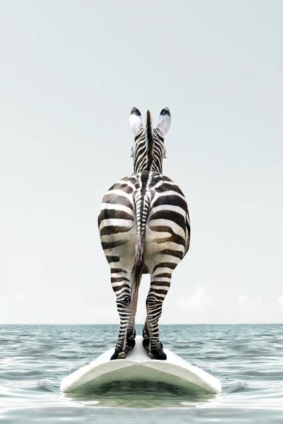 Kids Sports Art: Zebra With Surfboard by Tiny Treasure Prints
