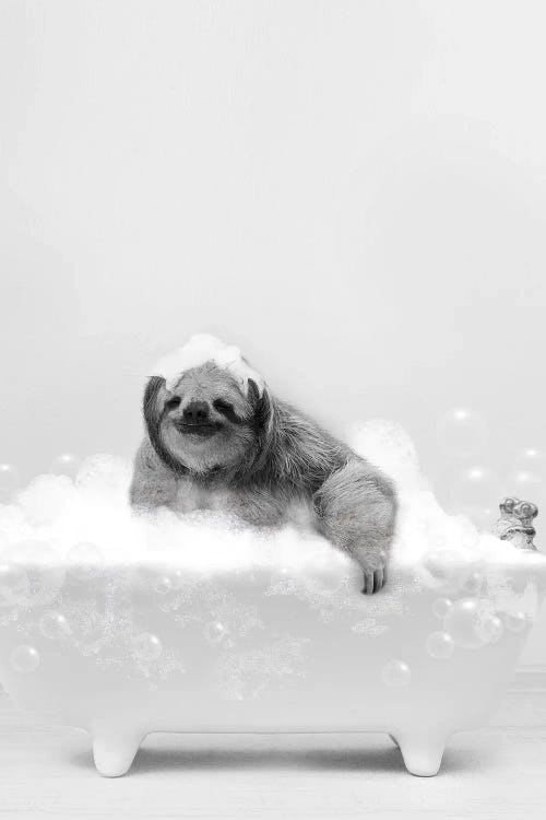 Sloth In Bathtub