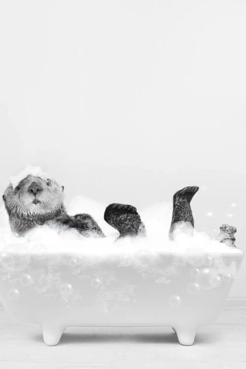 Otter In Bathtub