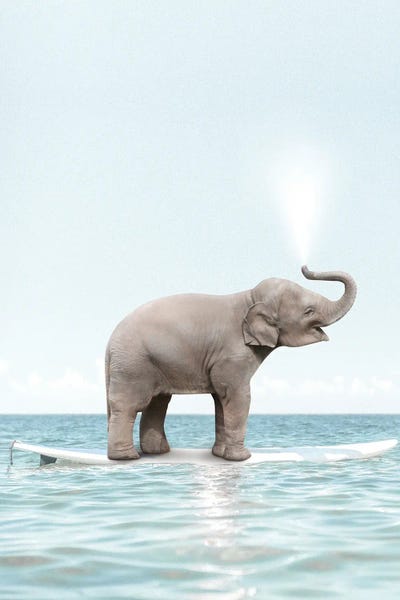 Kids Sports Art: Surfing Elephant by Tiny Treasure Prints