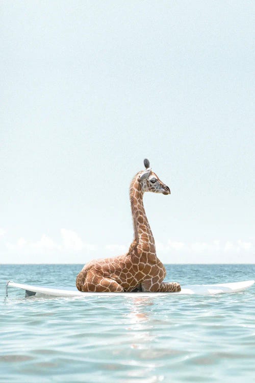 Surfing Giraffe