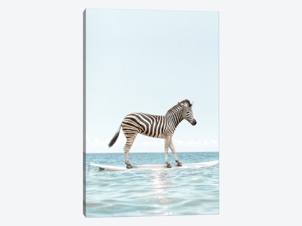 Surfing Zebra by Tiny Treasure Prints 1-piece Canvas Art