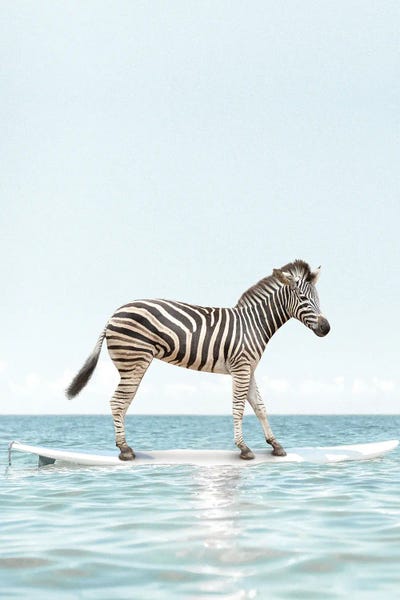 Kids Sports Art: Surfing Zebra by Tiny Treasure Prints