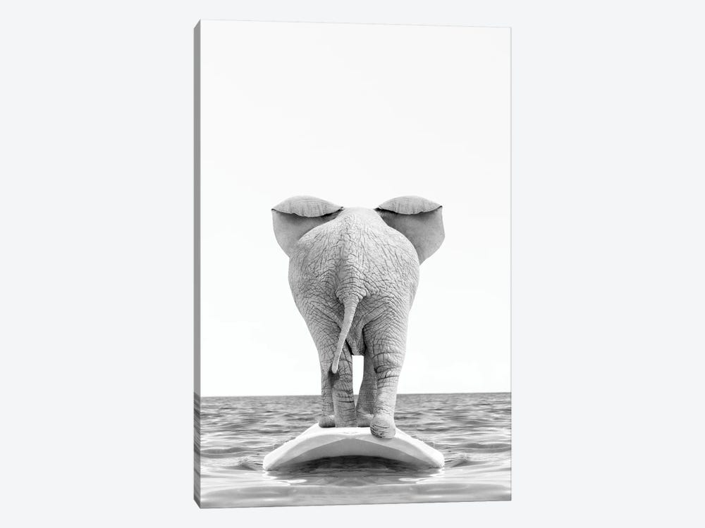 Elephant Surfing Black And White by Tiny Treasure Prints 1-piece Canvas Print