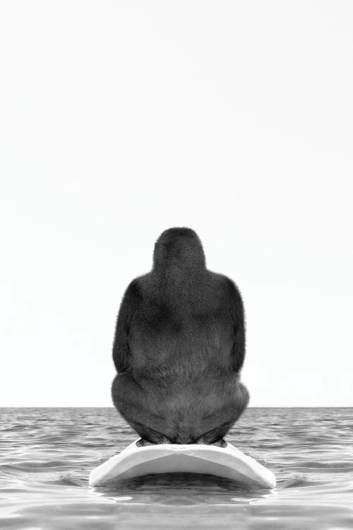 Gorilla With Surfboard Black And White