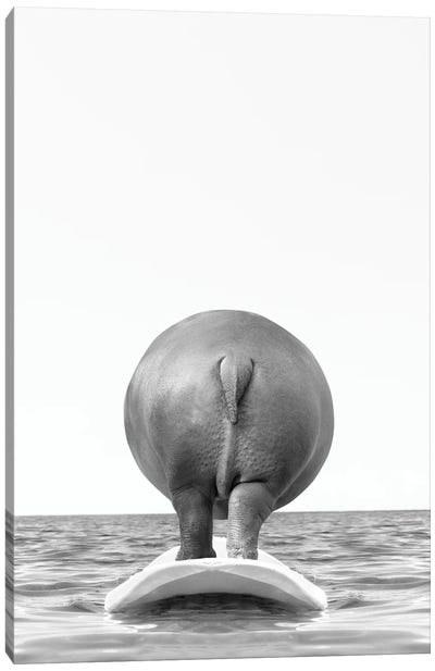 Hippo With Surfboard Black And White Canvas Art Print