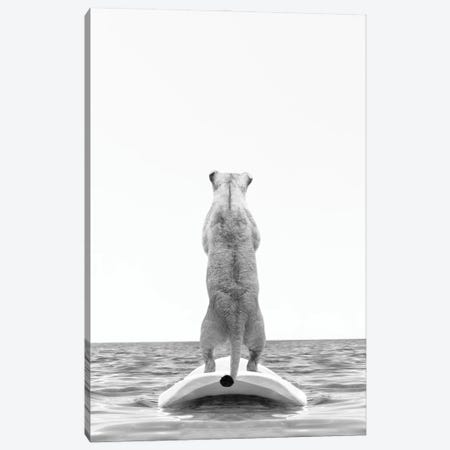 Lion With Surfboard Black And White Canvas Print #TTP29} by Tiny Treasure Prints Art Print