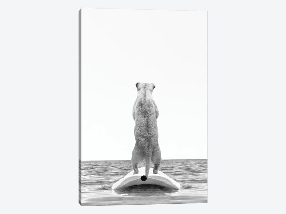 Lion With Surfboard Black And White by Tiny Treasure Prints 1-piece Canvas Artwork