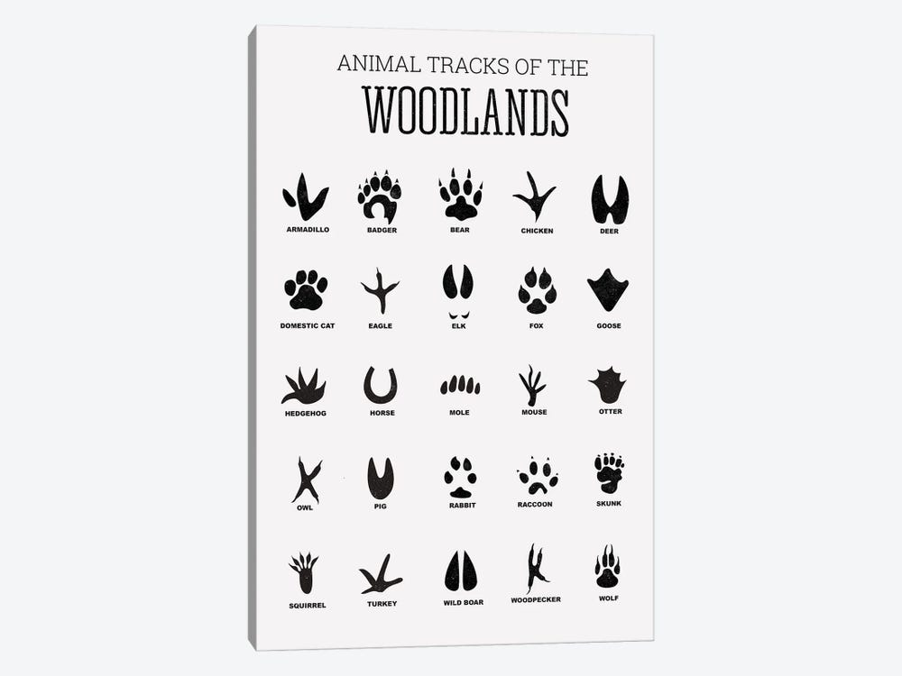 Animal Tracks Of The Woodland by Tiny Treasure Prints 1-piece Art Print