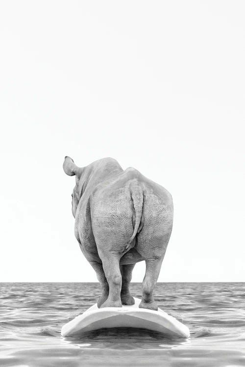 Rhino With Surfboard Black And White