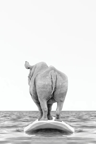Rhinoceroses: Rhino With Surfboard Black And White by Tiny Treasure Prints