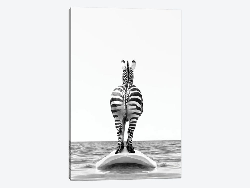 Zebra With Surfboard Black And White by Tiny Treasure Prints 1-piece Canvas Art Print