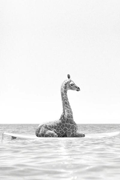 Surfing Giraffe Black And White by Tiny Treasure Prints metal wall art
