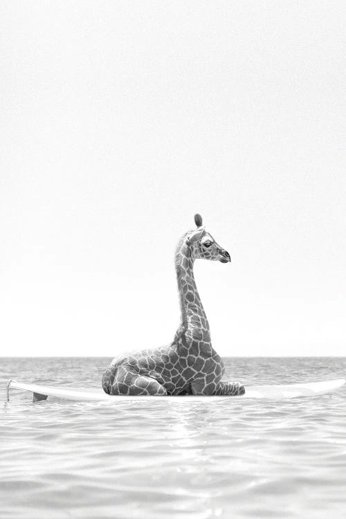 Surfing Giraffe Black And White