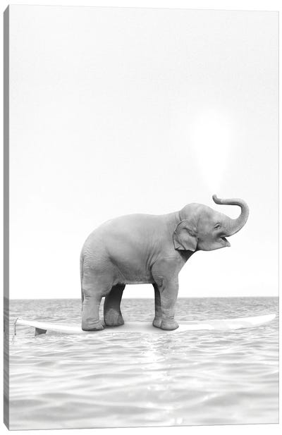 Surfing Elephant Black And White Canvas Art Print - Tiny Treasure Prints
