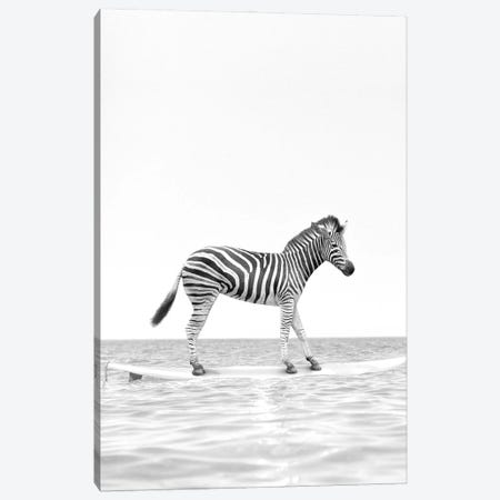 Surfing Zebra Black And White Canvas Print #TTP34} by Tiny Treasure Prints Canvas Print