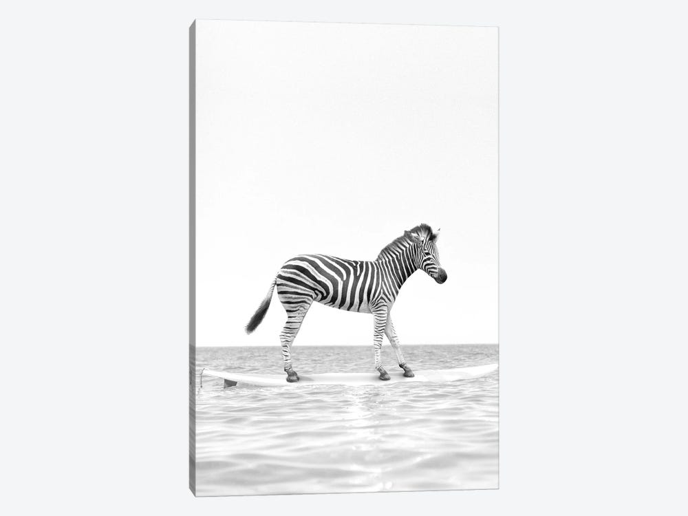 Surfing Zebra Black And White by Tiny Treasure Prints 1-piece Canvas Wall Art
