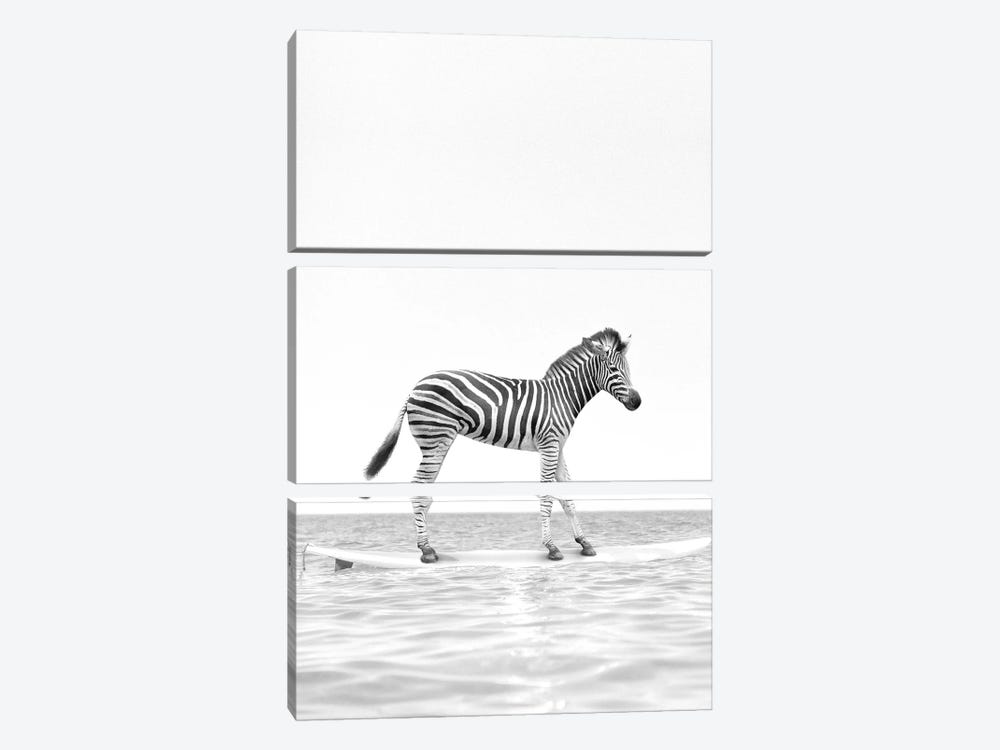 Surfing Zebra Black And White by Tiny Treasure Prints 3-piece Canvas Art