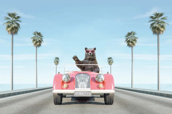 Brown Bears: Vintage Pink Car With Waving Bear by Tiny Treasure Prints